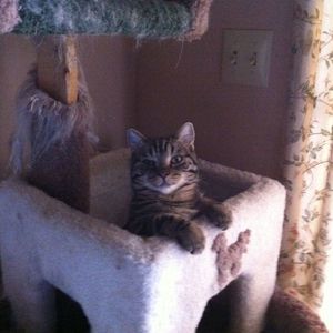 Meet your Posher, Thomas